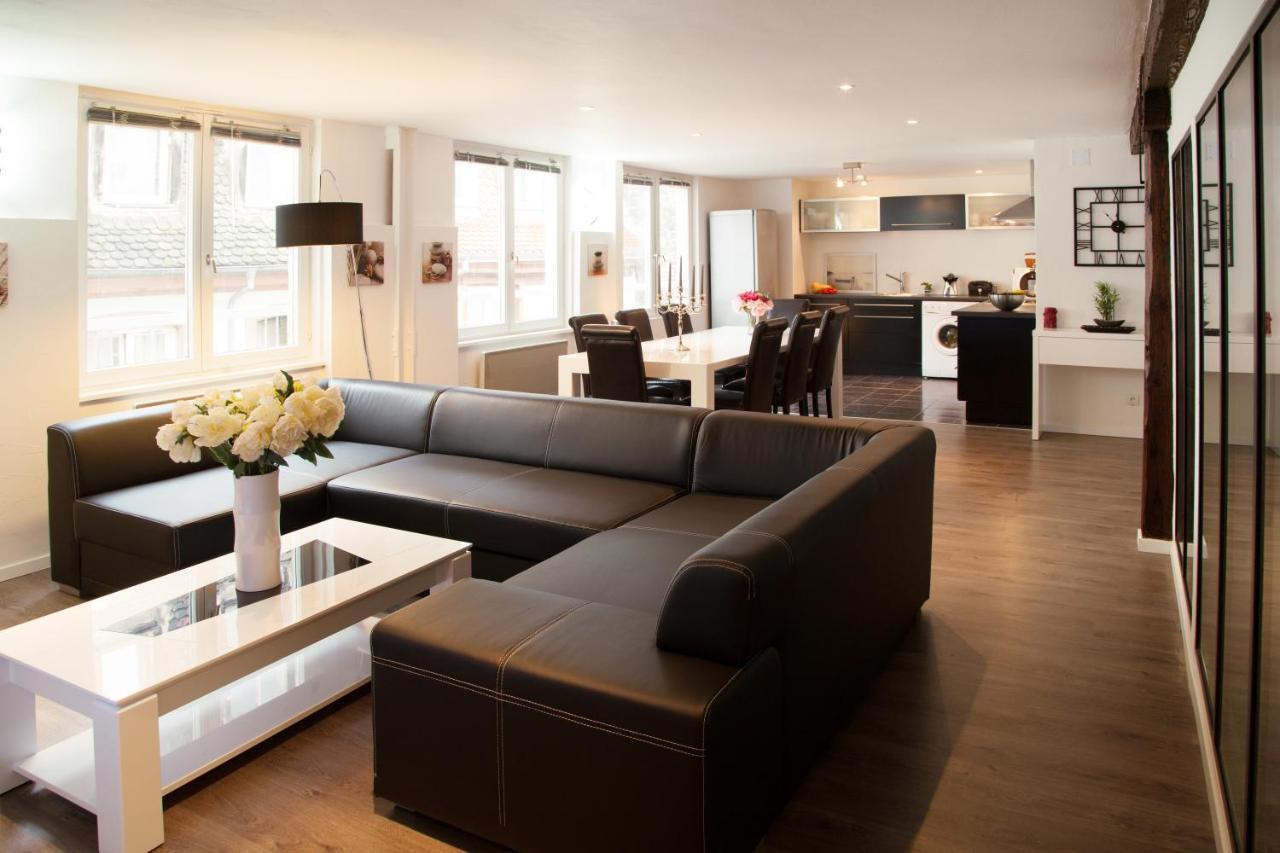 Le Corbeau - Grand Appartement Strasbourg Centre, Calme Bagian luar foto